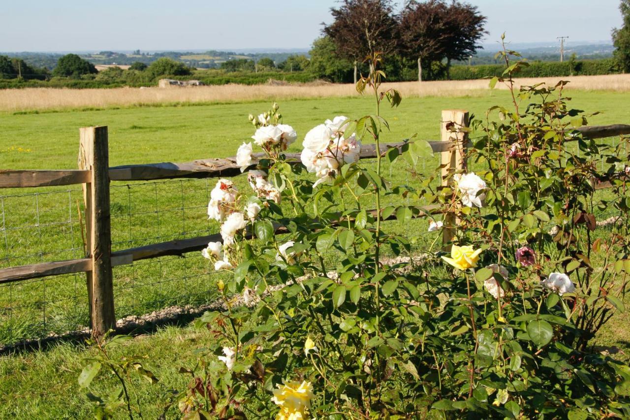 Bewl Rookery B&B Wadhurst Екстериор снимка