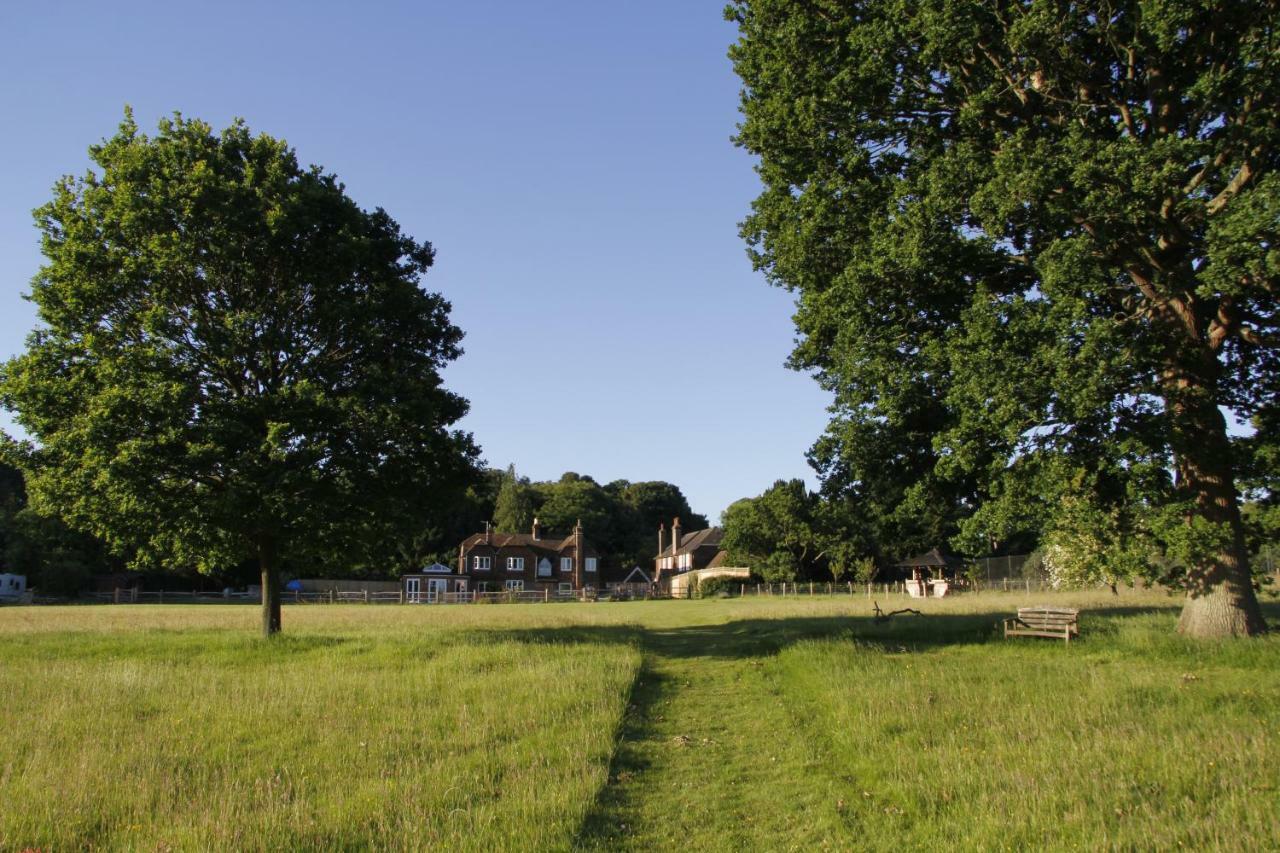 Bewl Rookery B&B Wadhurst Екстериор снимка